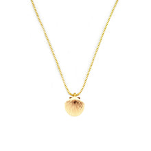 Load image into Gallery viewer, Beachy ~ Salty Pendants