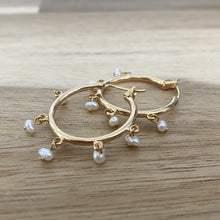 Load image into Gallery viewer, Malibu Mini Hoops  ~ Salty Shells