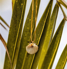 Load image into Gallery viewer, Beachy ~ Salty Pendants